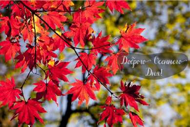 Открытки Осень Открытки на осень. Осенние открытки. С осенью поздравления.  Открытки на осень. Осенние открытки. С осенью поздравления. Красивые открытки смотреть онлайн бесплатно. Хорошего осеннего дня и осеннего утра. Осенние открытки для близких.