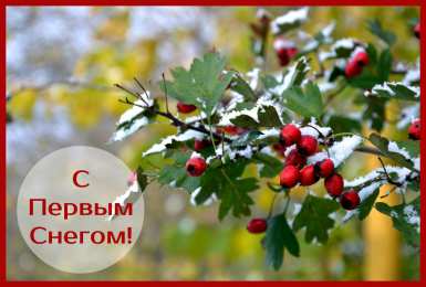 Открытки Первый снег Открытки к первому снегу. Поздравления с первым выпавшим снегом. Открытки к первому снегу. Поздравления с первым выпавшим снегом. Красивые открытки смотреть онлайн бесплатно. Первый снег поздравления для родных и близких. С первым снегом!