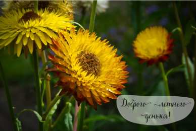 Лето Открытки на лето. Пожелания хороших летних дней. Летние открытки.