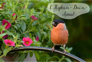 Открытки Первый день лета Открытки с поздравлениями с первым днём лета. Первый день лета. Открытки с поздравлениями с первым днём лета. Первый день лета. Красивые открытки смотреть онлайн бесплатно. Открытки к первому дню лета. Пожелания хорошего лета.