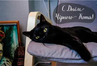 День черного кота Открытки с поздравлениями ко Дню чёрного кота. С Днём чёрного кота!