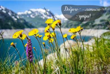 Лето Открытки на лето. Пожелания хороших летних дней. Летние открытки.