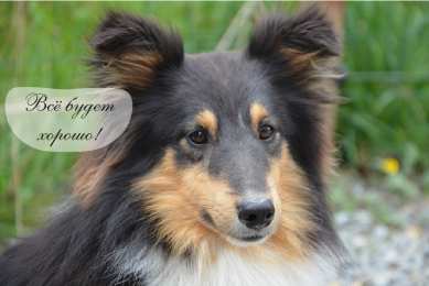 Открытки Всё будет хорошо! Открытки - всё будет хорошо! Приободрить словами - всё будет хорошо! Открытки - всё будет хорошо! Приободрить словами - всё будет хорошо! Красивые открытки смотреть онлайн бесплатно. Поднять настроение родным и близким. Всё будет хорошо!