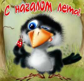 Открытки Первый день лета Открытки с поздравлениями с первым днём лета. Первый день лета. Открытки с поздравлениями с первым днём лета. Первый день лета. Красивые открытки смотреть онлайн бесплатно. Открытки к первому дню лета. Пожелания хорошего лета.