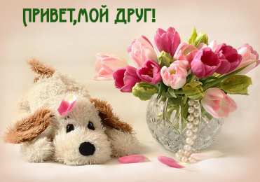 Привет другу/подруге Открытки с приветствием друзей. Открытки для друга и подруги.