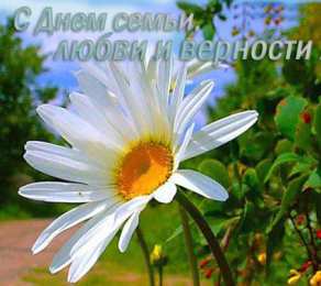 Открытки С Днём семьи Открытки с поздравлениями ко Дню семьи. С Днём семьи открытки. Открытки с поздравлениями ко Дню семьи. С Днём семьи открытки. Красивые открытки смотреть онлайн бесплатно. Поздравления на День семьи. Праздник всех семей мира.
