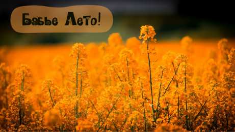 Бабье лето Открытки с поздравлениями на Бабье Лето. С Бабьим Летом! Праздник.