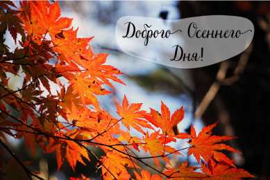 Открытки Осень Открытки на осень. Осенние открытки. С осенью поздравления.  Открытки на осень. Осенние открытки. С осенью поздравления. Красивые открытки смотреть онлайн бесплатно. Хорошего осеннего дня и осеннего утра. Осенние открытки для близких.