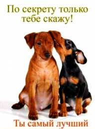 Для любимой/любимого Открытки для любимых.  Милые открытки для вторых половинок. 