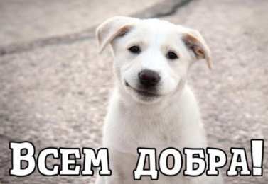 День доброты Открытки с поздравлениями ко Дню доброты. С Днём доброты открытки.