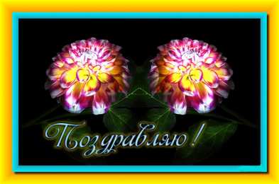 Поздравляю Открытки с цветами и надписью - поздравляю. Открытки для женщин.