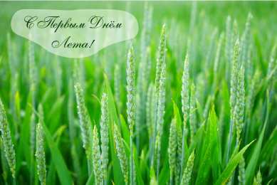 Открытки Первый день лета Открытки с поздравлениями с первым днём лета. Первый день лета. Открытки с поздравлениями с первым днём лета. Первый день лета. Красивые открытки смотреть онлайн бесплатно. Открытки к первому дню лета. Пожелания хорошего лета.