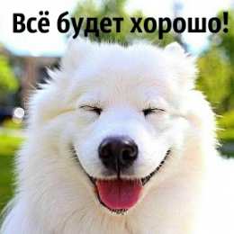 Открытки Всё будет хорошо! Открытки - всё будет хорошо! Приободрить словами - всё будет хорошо!  Открытки - всё будет хорошо! Приободрить словами - всё будет хорошо! Красивые открытки смотреть онлайн бесплатно. Поднять настроение родным и близким. Всё будет хорошо!