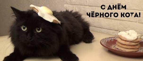День черного кота Открытки с поздравлениями ко Дню чёрного кота. С Днём чёрного кота!