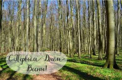 Открытки Первый день весны Открытки с поздравлениями с первым днём весны. Первый день весны. Открытки с поздравлениями с первым днём весны. Первый день весны. Красивые открытки смотреть онлайн бесплатно. Открытки с первым днем весны. Приятные пожелания.