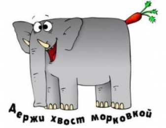 Прикольные пожелания Открытки с прикольными пожеланиями. Прикольные пожелания. Юмор.