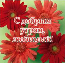 Пожелания любимым Открытки с пожеланиями для любимых. Открытки для второй половинки.