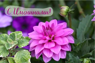 Открытки Именины Открытки на Именины. Поздравления с Именинами в открытках. Именины. Открытки на Именины. Поздравления с Именинами в открытках. Именины. Красивые открытки смотреть онлайн бесплатно. Поздравить с Именинами родных. День Именин поздравление.