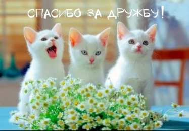 Спасибо за дружбу Открытки с любовью для друзей. Открытки другу и подруге, друзьям.