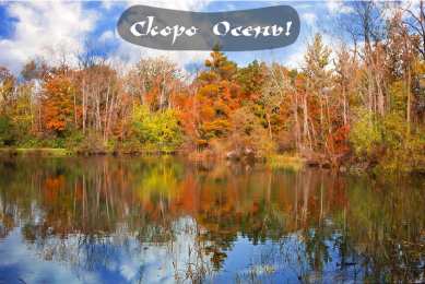 Открытки Скоро осень Открытки в преддверии осени. Скоро осень поздравления. Осень близко. Открытки в преддверии осени. Скоро осень поздравления. Осень близко. Красивые открытки смотреть онлайн бесплатно. Скоро осень открытки в преддверии осени. Осень.