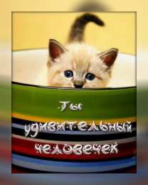 Открытки Оценки Открытки с положительными оценками. Открытки с оценками (молодец, красиво). Открытки с положительными оценками. Открытки с оценками (молодец, красиво). Красивые открытки смотреть онлайн бесплатно. Положительные оценки - красавица, молодец, мне нравится.