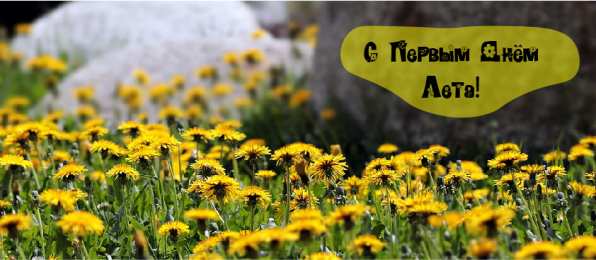 Открытки Первый день лета Открытки с поздравлениями с первым днём лета. Первый день лета. Открытки с поздравлениями с первым днём лета. Первый день лета. Красивые открытки смотреть онлайн бесплатно. Открытки к первому дню лета. Пожелания хорошего лета.