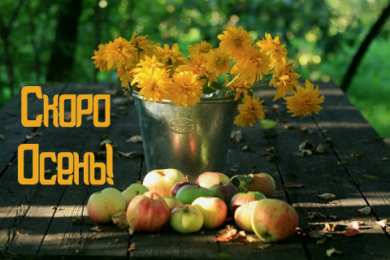 Открытки Скоро осень Открытки в преддверии осени. Скоро осень поздравления. Осень близко. Открытки в преддверии осени. Скоро осень поздравления. Осень близко. Красивые открытки смотреть онлайн бесплатно. Скоро осень открытки в преддверии осени. Осень.