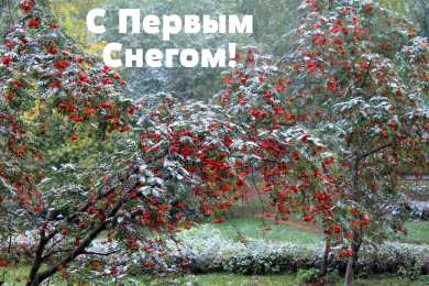 Открытки Первый снег Открытки к первому снегу. Поздравления с первым выпавшим снегом. Открытки к первому снегу. Поздравления с первым выпавшим снегом. Красивые открытки смотреть онлайн бесплатно. Первый снег поздравления для родных и близких. С первым снегом!