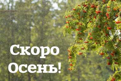 Открытки Скоро осень Открытки в преддверии осени. Скоро осень поздравления. Осень близко. Открытки в преддверии осени. Скоро осень поздравления. Осень близко. Красивые открытки смотреть онлайн бесплатно. Скоро осень открытки в преддверии осени. Осень.