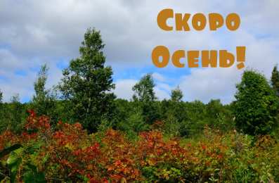 Открытки Скоро осень Открытки в преддверии осени. Скоро осень поздравления. Осень близко. Открытки в преддверии осени. Скоро осень поздравления. Осень близко. Красивые открытки смотреть онлайн бесплатно. Скоро осень открытки в преддверии осени. Осень.