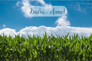 Бабье лето Открытки с поздравлениями на Бабье Лето. С Бабьим Летом! Праздник.