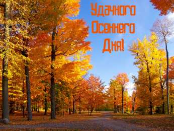 Открытки Осень Открытки на осень. Осенние открытки. С осенью поздравления.  Открытки на осень. Осенние открытки. С осенью поздравления. Красивые открытки смотреть онлайн бесплатно. Хорошего осеннего дня и осеннего утра. Осенние открытки для близких.