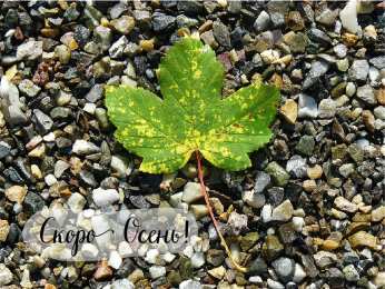 Открытки Скоро осень Открытки в преддверии осени. Скоро осень поздравления. Осень близко. Открытки в преддверии осени. Скоро осень поздравления. Осень близко. Красивые открытки смотреть онлайн бесплатно. Скоро осень открытки в преддверии осени. Осень.