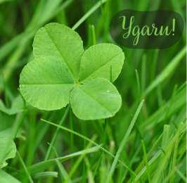 Открытки Удачи Открытки с пожеланиями удачи. Символы удачи в открытках. Желаю удачи! Открытки с пожеланиями удачи. Символы удачи в открытках. Желаю удачи! Красивые открытки смотреть онлайн бесплатно. Открытки на удачу для родных и близких. Удачи во всём!