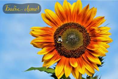 Бабье лето Открытки с поздравлениями на Бабье Лето. С Бабьим Летом! Праздник.