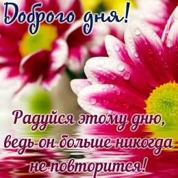 Хорошего дня Открытки с надписью - хорошего дня! Открытки на каждый день.