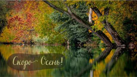 Открытки Скоро осень Открытки в преддверии осени. Скоро осень поздравления. Осень близко. Открытки в преддверии осени. Скоро осень поздравления. Осень близко. Красивые открытки смотреть онлайн бесплатно. Скоро осень открытки в преддверии осени. Осень.