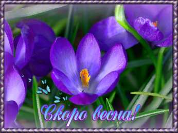 Открытки Весна Открытки на весну. Весенние открытки. Весенние пожелания на каждый день. Открытки на весну. Весенние открытки. Весенние пожелания на каждый день. Красивые открытки смотреть онлайн бесплатно. Весеннее настроение и пожелание хорошего дня.