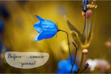 Лето Открытки на лето. Пожелания хороших летних дней. Летние открытки.