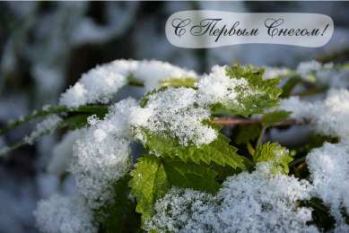 Открытки Первый снег Открытки к первому снегу. Поздравления с первым выпавшим снегом. Открытки к первому снегу. Поздравления с первым выпавшим снегом. Красивые открытки смотреть онлайн бесплатно. Первый снег поздравления для родных и близких. С первым снегом!