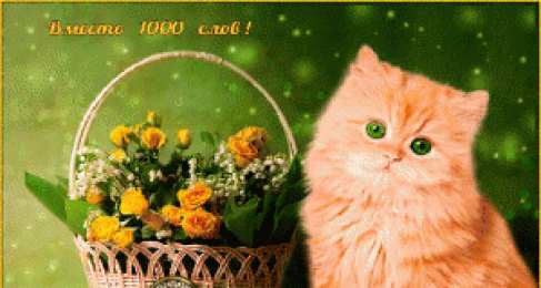 Вместо 1000 слов Открытки с цветами и надписью - вместо 1000 слов. Открытки для женщин.