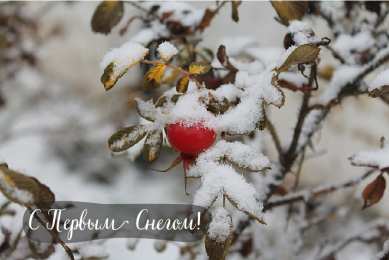 Открытки Первый снег Открытки к первому снегу. Поздравления с первым выпавшим снегом. Открытки к первому снегу. Поздравления с первым выпавшим снегом. Красивые открытки смотреть онлайн бесплатно. Первый снег поздравления для родных и близких. С первым снегом!