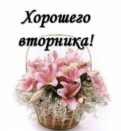 Удачного вторника Открытки с пожеланием удачного вторника. Хорошего вторника. 