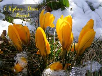 Открытки Первый день весны Открытки с поздравлениями с первым днём весны. Первый день весны. Открытки с поздравлениями с первым днём весны. Первый день весны. Красивые открытки смотреть онлайн бесплатно. Открытки с первым днем весны. Приятные пожелания.