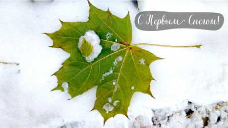 Открытки Первый снег Открытки к первому снегу. Поздравления с первым выпавшим снегом. Открытки к первому снегу. Поздравления с первым выпавшим снегом. Красивые открытки смотреть онлайн бесплатно. Первый снег поздравления для родных и близких. С первым снегом!