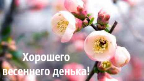 Открытки Весна Открытки на весну. Весенние открытки. Весенние пожелания на каждый день. Открытки на весну. Весенние открытки. Весенние пожелания на каждый день. Красивые открытки смотреть онлайн бесплатно. Весеннее настроение и пожелание хорошего дня.
