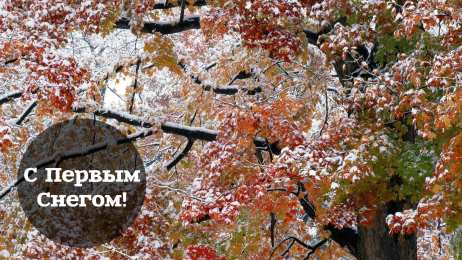 Открытки Первый снег Открытки к первому снегу. Поздравления с первым выпавшим снегом. Открытки к первому снегу. Поздравления с первым выпавшим снегом. Красивые открытки смотреть онлайн бесплатно. Первый снег поздравления для родных и близких. С первым снегом!