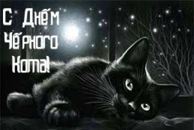 День черного кота Открытки с поздравлениями ко Дню чёрного кота. С Днём чёрного кота!