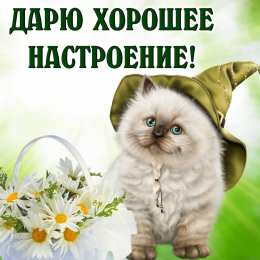 Хорошего настроения Открытки для хорошего настроения. Красивые открытки - хорошего настроения.