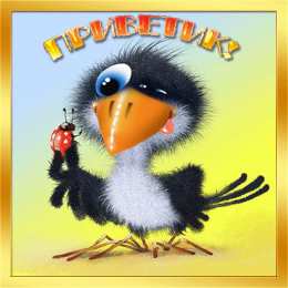 Привет Открытки с приветствием. Открытки с надписью - привет! Приветствие.